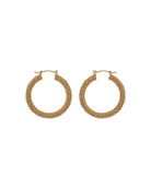 ORION HOOPS (GOLD) - hoops