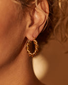 SOL HOOPS (GOLD) - Earrings